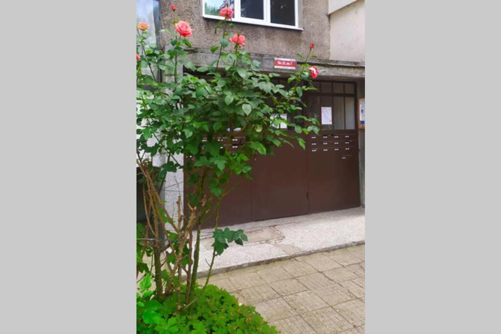 סופיה Lovely City Center 1Bd, 1Bt Apartment מראה חיצוני תמונה